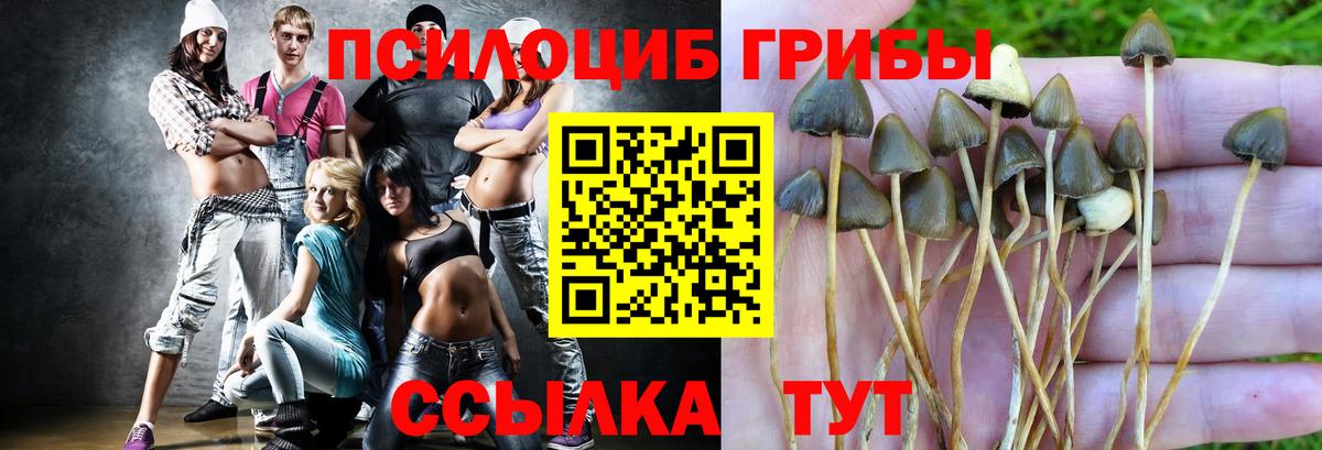 Коркино  Псилоцибиновые грибы MAGIC MUSHROOMS  Вход с VPN 