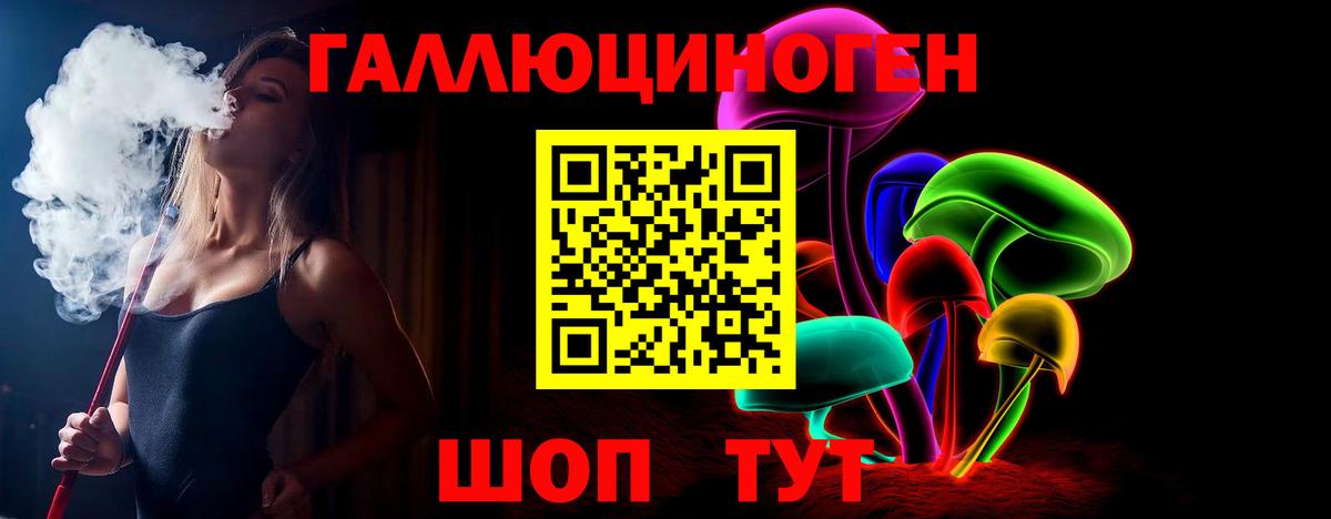 Псилоцибиновые грибы Psilocybe Коркино